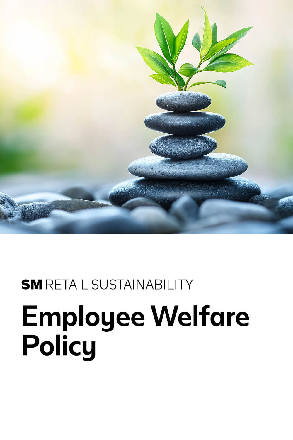 SMRI Employee Welfare Policy