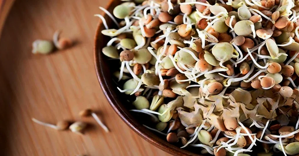 sprouted chickpeas benefits